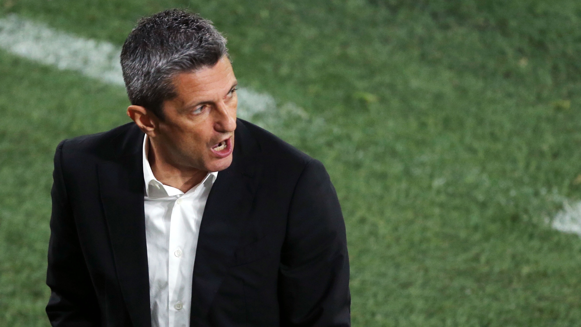 Εξώδικο Παναθηναϊκού σε Ραζβάν Λουτσέσκου