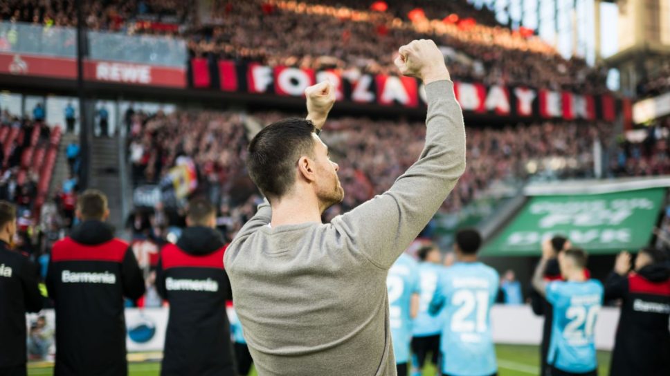 ΤΣΑΜΠΙ ΑΛΟΝΣΟ